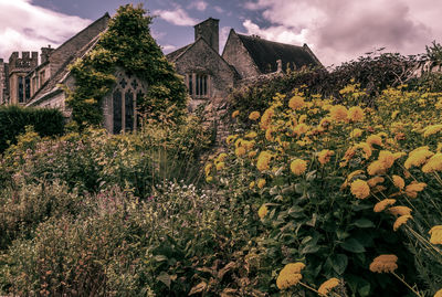 architecture