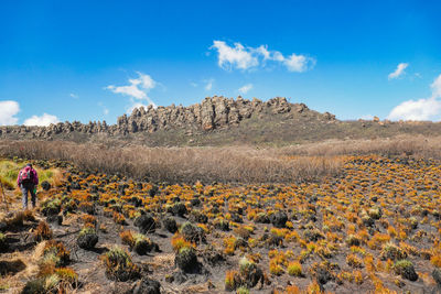 A hiker against a mountain background at ol doinyo lesatima in the aberdares, kenya
