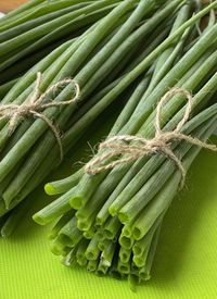 Close-up of onion chives