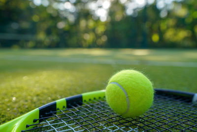 Close-up of green ball on grass