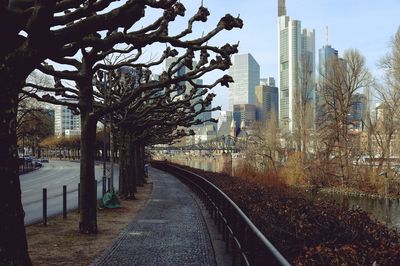 Trees in city against sky