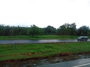 Scenic view of agricultural landscape against sky