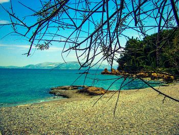 Scenic view of sea against blue sky