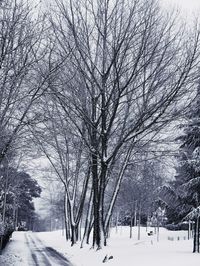 Road passing through snow covered landscape