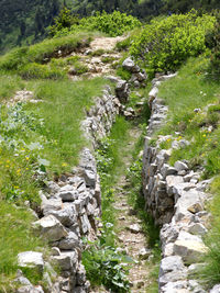 Footpath amidst rocks