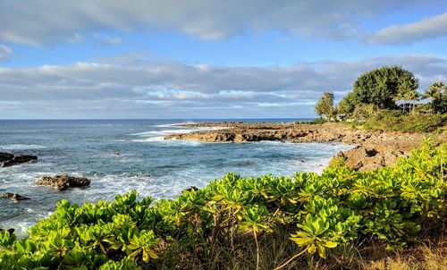 Scenic view of sea against sky