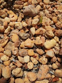 Full frame shot of stones