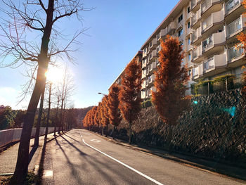 Empty road along trees and buildings