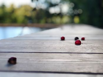 Close-up of red berries on wooden table