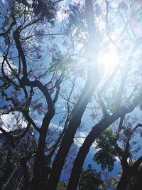 Low angle view of trees against sky