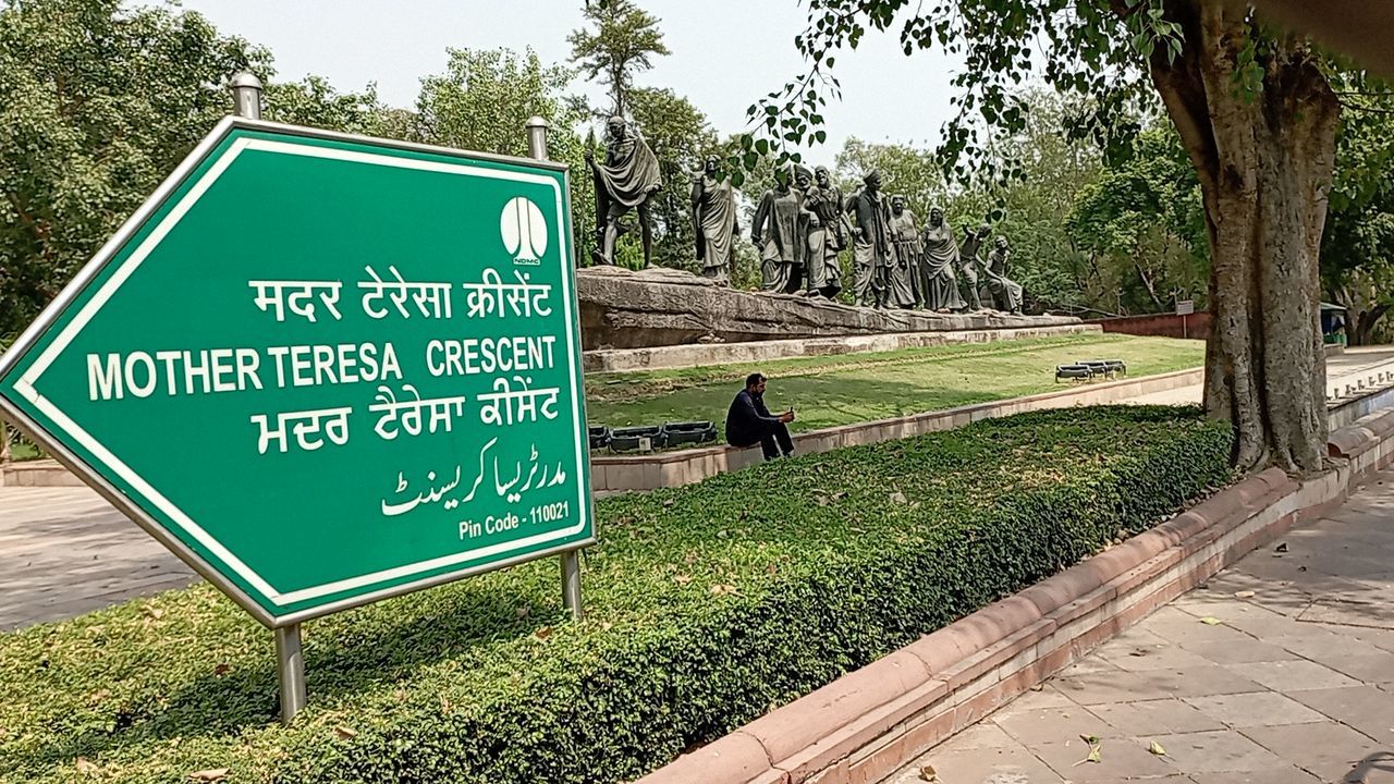 sign, communication, plant, tree, text, road, nature, green, road sign, western script, day, grass, information sign, outdoors, footpath, lane, guidance, no people