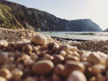 Close-up of pebbles on beach against clear sky