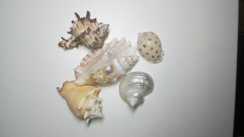 Directly above shot of eggs on table