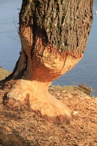 Scenic view of rock formation against sky