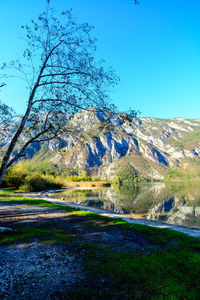 Scenic view of landscape against clear blue sky