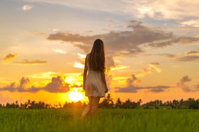 Scenic view of grassy field against sky at sunset