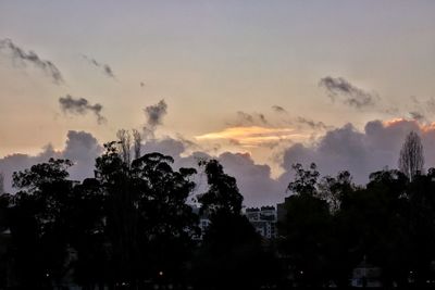 Silhouette trees against sky during sunset