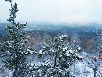 Scenic view of tree mountains against sky during winter