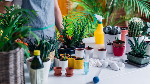 Gardening at home for stress relief during lockdown