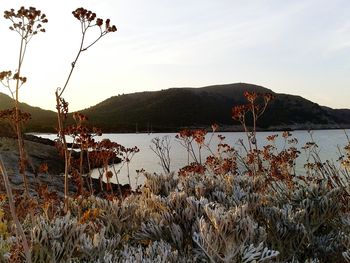 Scenic view of lake with mountains in background