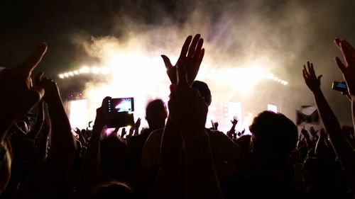 Crowd at music concert at night