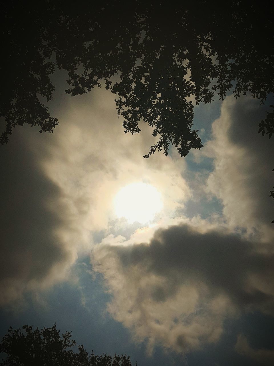 low angle view, sky, silhouette, tree, cloud - sky, sun, tranquility, beauty in nature, nature, scenics, tranquil scene, cloudy, sunbeam, sunlight, sunset, branch, cloud, idyllic, outdoors, weather