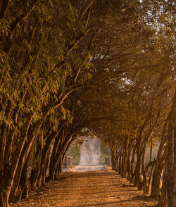 Empty footpath in park