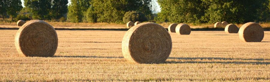 Bales of straw