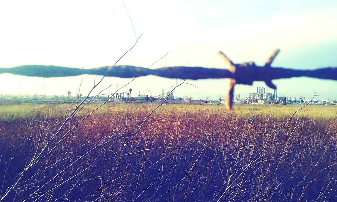 landscape, field, tranquility, tranquil scene, sky, scenics, grass, nature, beauty in nature, non-urban scene, rural scene, mountain, outdoors, no people, idyllic, grassy, day, horizon over land, remote