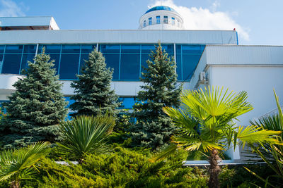 Low angle view of palm trees and building against sky
