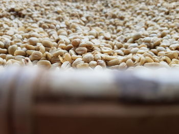 Close-up of coffee beans