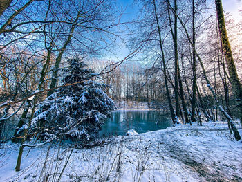 Bare trees by river against sky during winter