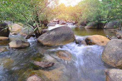 River flowing through rocks in forest