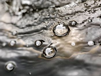 Close-up of water drop