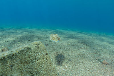 View of sea underwater