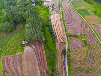 High angle view of agricultural field