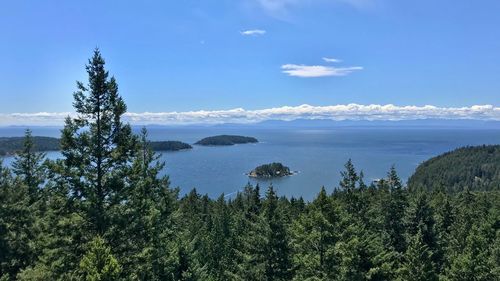 Scenic view of sea and forest against sky