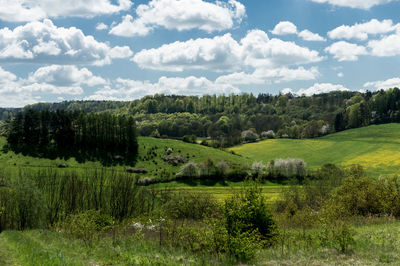 Trees on field against sky