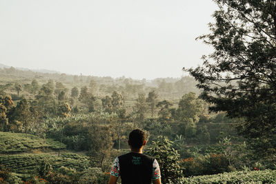 Rear view of man standing outdoors