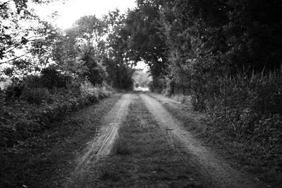 Dirt road amidst trees