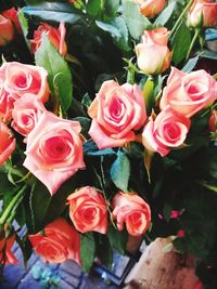 Close-up of rose bouquet