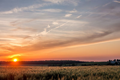 Scenic view of agricultural field against sky during sunset