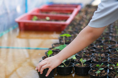 Midsection of woman holding potted plant