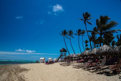 Palm trees on beach against sky