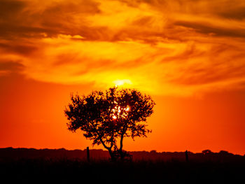 Silhouette tree on field against romantic sky at sunset