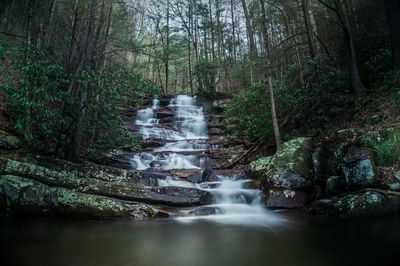 Scenic view of waterfall in forest