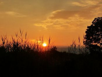 Silhouette plants on landscape against romantic sky at sunset