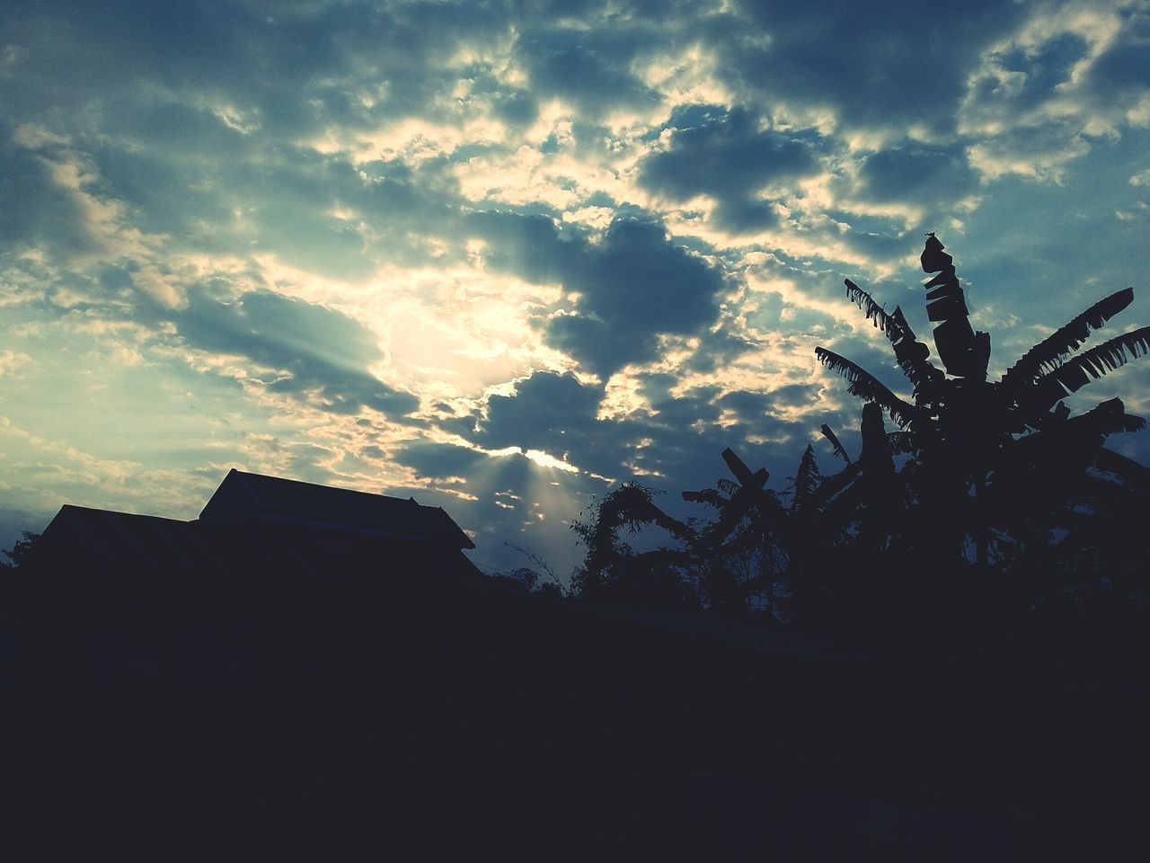 low angle view, sky, building exterior, architecture, built structure, silhouette, cloud - sky, tree, palm tree, cloud, cloudy, outdoors, nature, building, high section, no people, growth, dusk, house, sunset