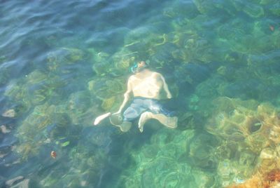 High angle view of jellyfish swimming in sea