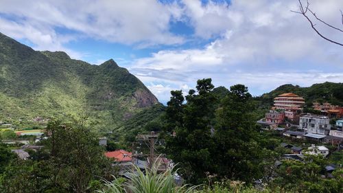 Trees and mountains against sky